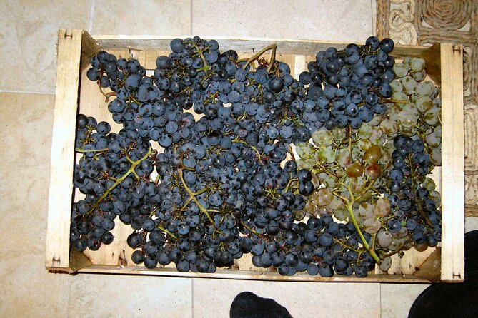 Half Day Tour - Deep and Dark Red Wine of Pelješac - Private, Air-Conditioned, and At Your Group’s Pace