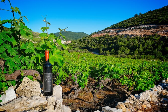 Half Day Tour - Deep and Dark Red Wine of Pelješac - Who This Tour Suits Best (and Who Should Rethink It)