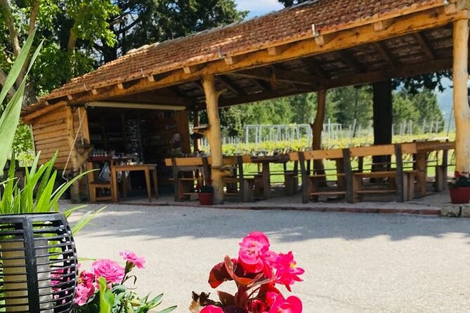 Half-Day Wine and Food Tasting from Dubrovnik - Cavtat Old Town: the easy win after the tasting