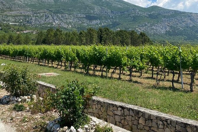 Half-Day Wine and Food Tasting from Dubrovnik - Price and value, what you really pay for