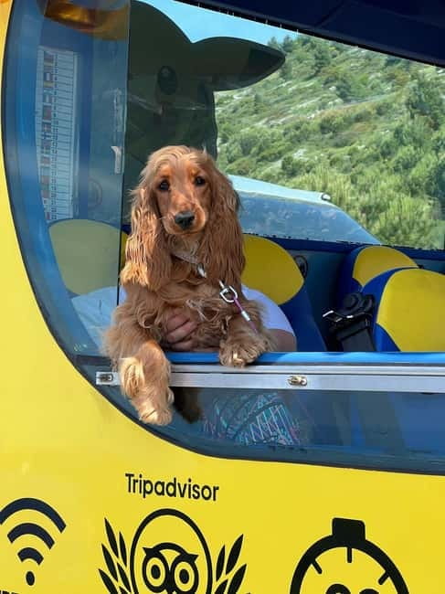 Hop-On Hop-Off Yellow Cabrio Tour: See Dubrovnik in 90mins - How the timing works: why 90 minutes feels like the sweet spot