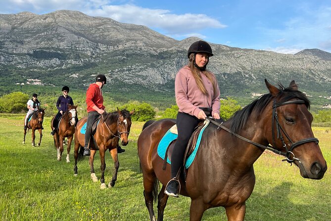 Horseback Riding Experience with transport from Dubrovnik - Why This Konavle Ride Feels Different Than a Typical Excursion