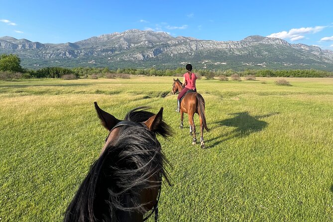 Horseback Riding Experience with transport from Dubrovnik - Dubrovnik Pickup at 8:00 am and the Morning Flow