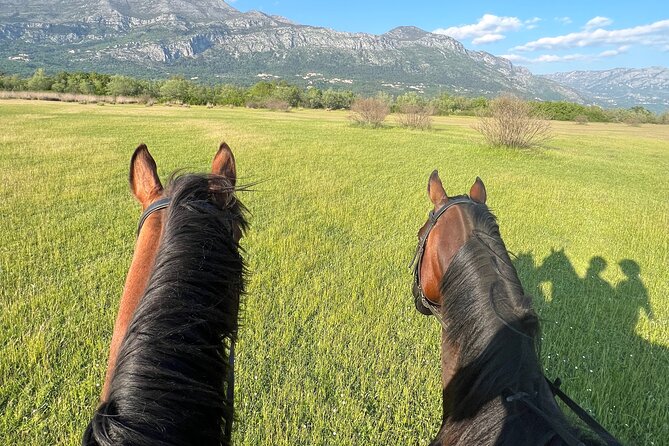 Horseback Riding Experience with transport from Dubrovnik - Getting Ready to Ride: Safety, Support, and How Beginners Feel