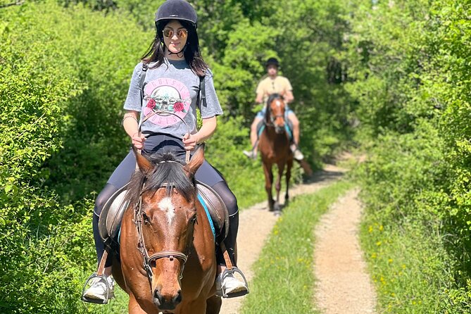 Horseback Riding Experience with transport from Dubrovnik - The Post-Ride Spread: Local Produce, Wine, Rakija, and Photos