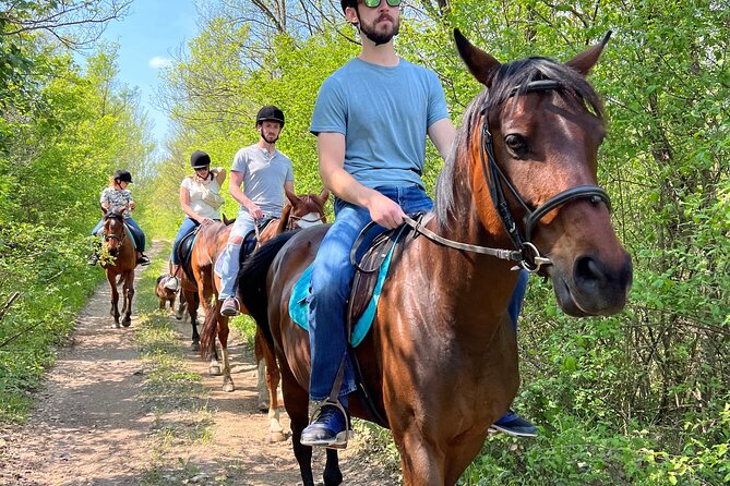 Horseback Riding Experience with transport from Dubrovnik - Practical Tips for Planning Your Dubrovnik Morning