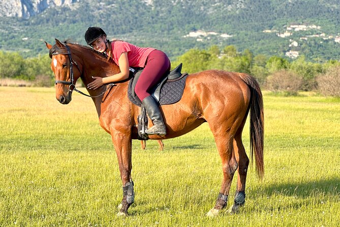 Horseback Riding Experience with transport from Dubrovnik - The 60-Minute Trail Ride Through Konavle Fields and Forest