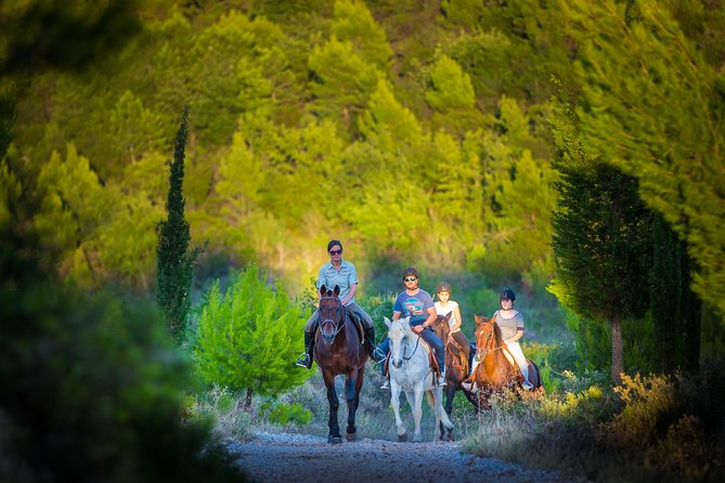 Horseback Riding in Konavle Region with Transport from Dubrovnik - Dubrovnik Pickup, the 4-Hour Flow, and What Timing Really Means