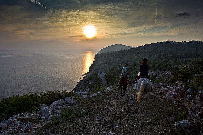 Horseback Riding in Konavle Region with Transport from Dubrovnik - Two Hours on the Trail: Forest Paths, Coast Cliffs, and Popovići