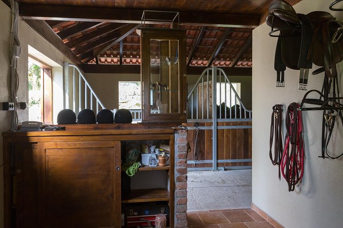 Horseback Riding in Konavle Region with Transport from Dubrovnik - What Happens After You Ride: Wine, Snacks, and Ranch-Time Conversation