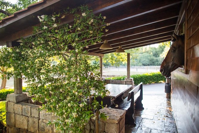 Horseback Riding in Konavle Region with Transport from Dubrovnik - Who This Tour Suits Best (and Who Should Think Twice)