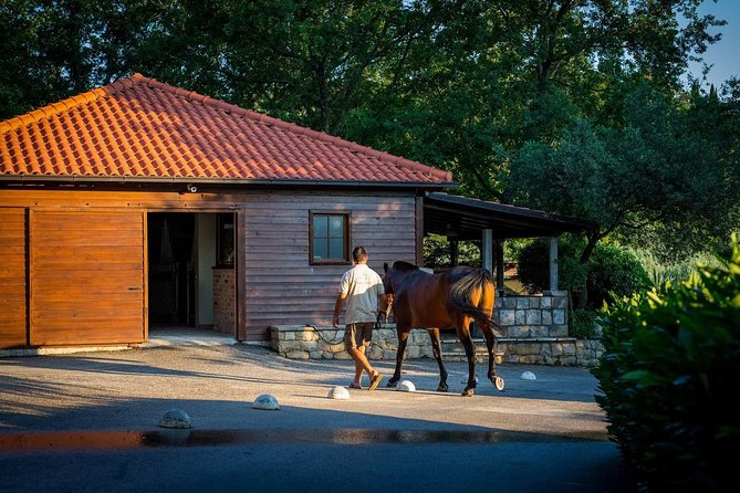 Horseback Riding in Konavle Region with Transport from Dubrovnik - The Guide Factor: Why Names Like Pero, Barbara, and Christina Matter