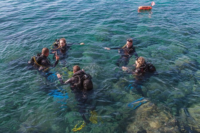Intro Dive in Dubrovnik - Where It Starts: Blue Planet Center in Dubrovnik