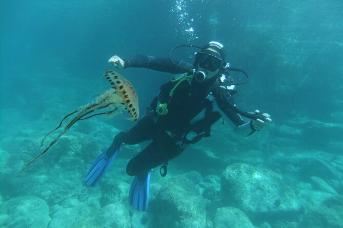 Intro Dive in Dubrovnik - How to Prepare So You Enjoy the Session More