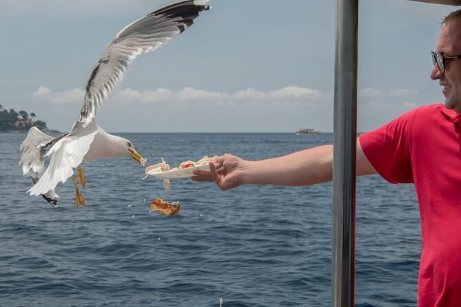 Island Hopping & City Walls Cruise with Food and Open Bar - Duration, Meeting Point, and the Pace of an 8-Hour Sea Day