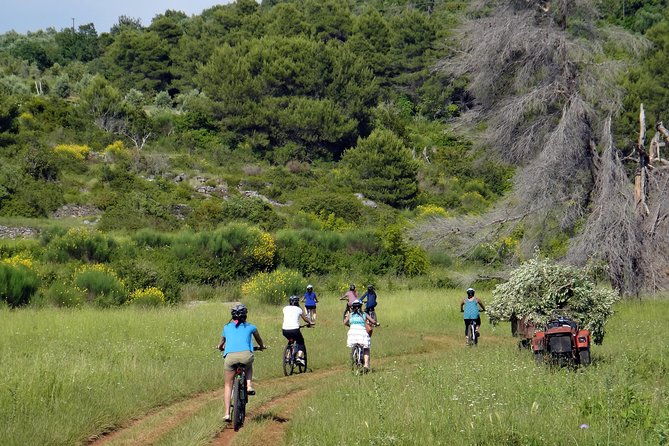 Kayak and Bike Tour to Sipan island from Lopud - Key highlights worth planning for