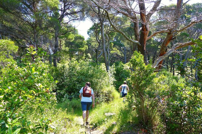 Kolocep Island Hiking and Swimming Full Day Trip from Dubrovnik - The swim stop and cliff jump option, without the crowds