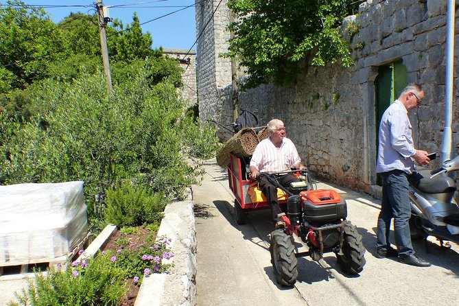 Kolocep Island Hiking and Swimming Full Day Trip from Dubrovnik - Lunch at the end: what is included, what costs extra