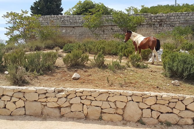 Konavle Countryside Private Tour - Fort Imperial and the Homeland War Museum Stop