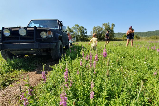 Konavle Jeep Safari Tour from Cavtat with Lunch - Should you book this Konavle Safari from Cavtat?