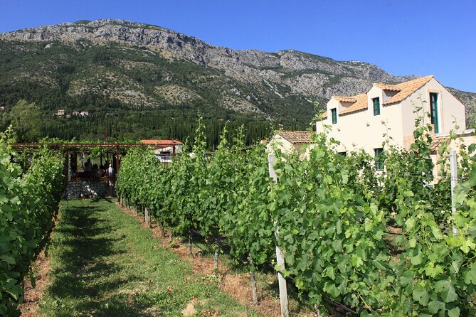 Konavle Region Shared Tour from Cavtat - Shared tour route: pickup from Cavtat and the Ron Brown viewpoint