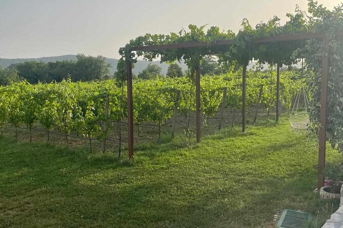 Konavle Tradition & Vines: Vodopic Winery Journey - Stop 3 on the Ljuta River: mills and waterwheels from the 15th century