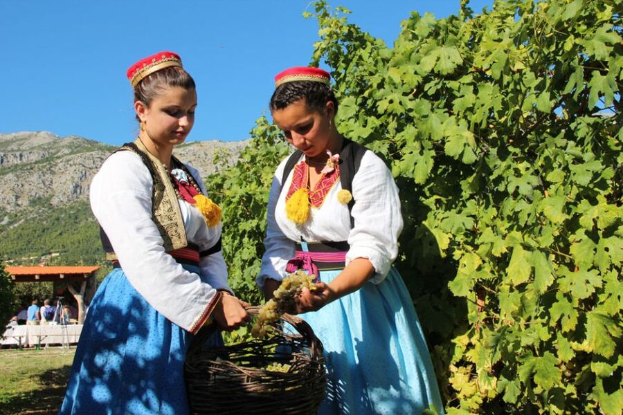 Konavle Valley: Private Half-Day Tour with Wine Tasting - Konavle Valley: the half-day escape with real southern Dalmatia