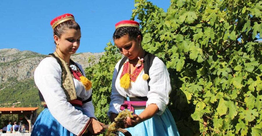 Konavle Valley: Private Half-Day Tour with Wine Tasting - Getting there: coach ride, air-conditioning, and the Cavtat detour