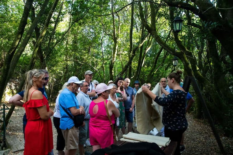 Konavle Valley: Tour with Wine Tasting from Dubrovnik - Second tasting and local snacks: building the Konavle meal story