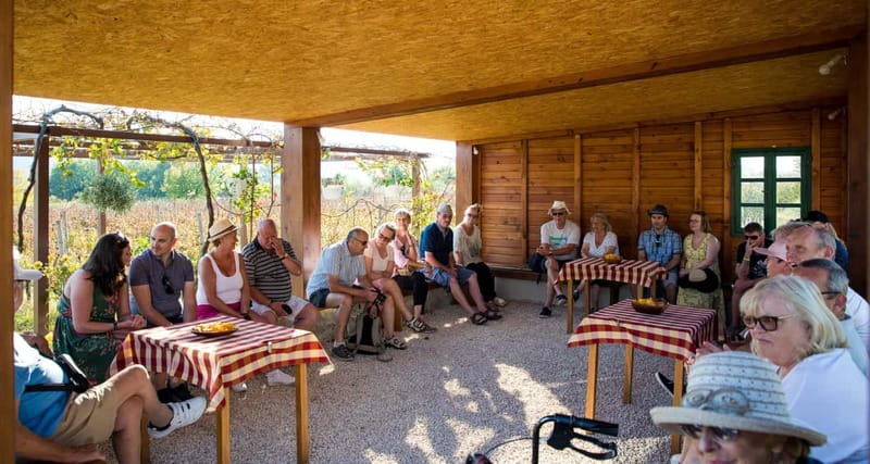 Konavle Valley: Tour with Wine Tasting from Dubrovnik - Wine value for a 6-hour day: is $104 a smart deal?
