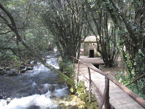 Konavle Valley Wine Tour from Dubrovnik with Train Ride and Wine Tasting - Stop 2 in Ljuta: Đivanović water mill, Pišta estate, and Miljas tastings
