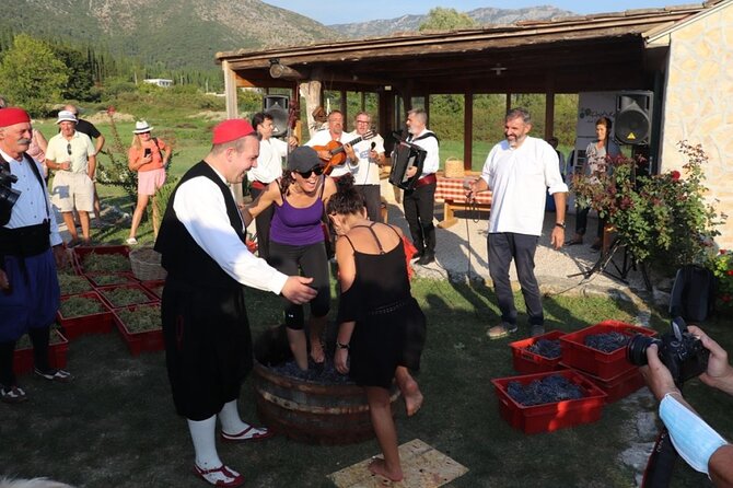 Konavle wine tasting tour from Dubrovnik with 2 vinery's - Stop 2 in Konavle at VODOPIĆ: Malvasia, Maraština, Merlot, and Rose