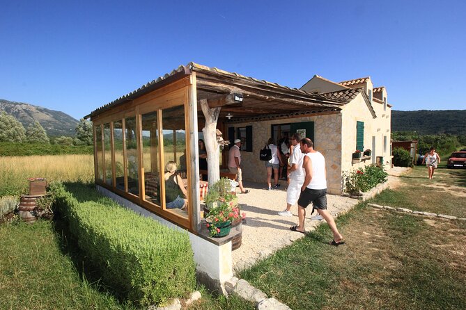 Konavle wine tasting tour from Dubrovnik with 2 vinery's - Price and Value: Is $225.31 Fair for Two Tastings and Food?