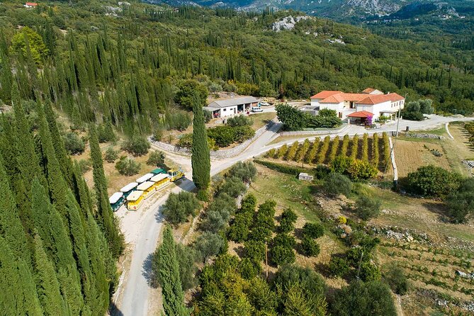 Konavle wine tasting tour from Dubrovnik with 2 vinery's - The Guides: Why Miro, Marco, and Ivo Matter