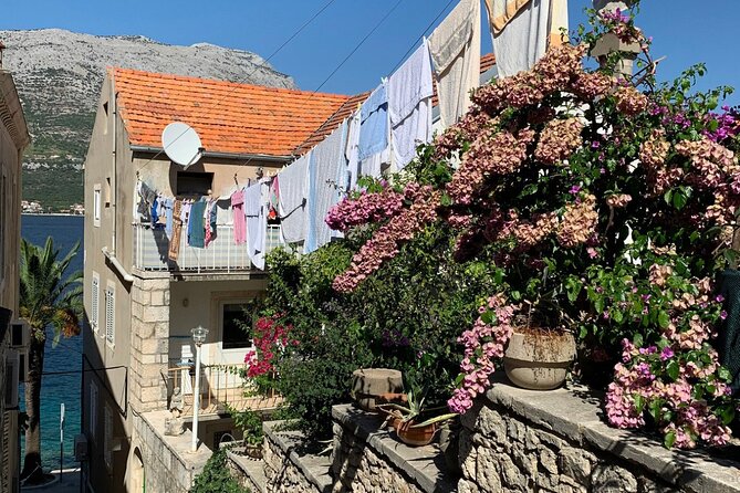 Korcula Private Tour - Food, Wine, and Tasting Stops That Feel Local