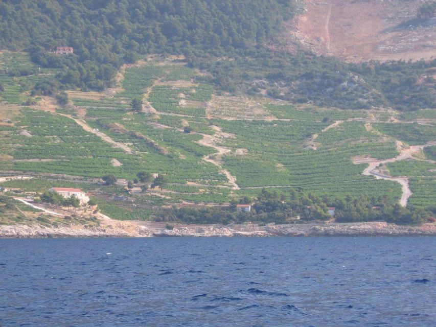 Korčula & Ston Full-Day Private Tour from Dubrovnik - Private luxury vehicle and English guide, so the day feels effortless