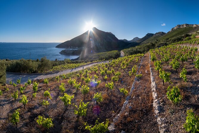 Korčula & Ston: Island Charms, Pelješac Delights & Wine Tasting - Group size, Davor’s guide style, and why it affects the whole day