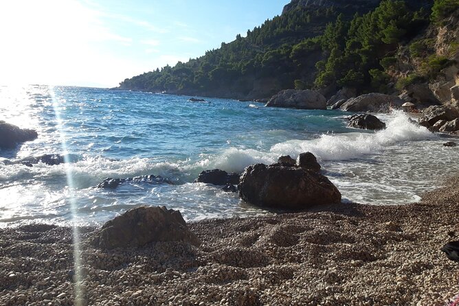 Korcula, Ston, Wine Tasting and Lunch - Tour from Dubrovnik - Matuško Winery Cellar: 3 Wines, Production You Can See