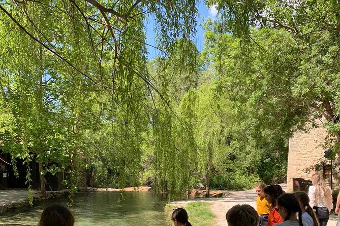 Krka Waterfalls - Full Day Private Tour - Skradin time at your own pace: lunch and wandering in the late afternoon