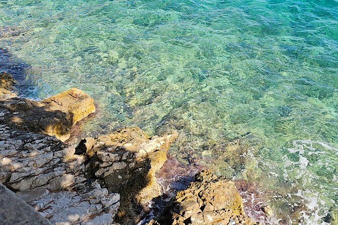Luxury Day tour to Korčula - Miloš Winery: Wine Tasting with Pelješac Peninsula Views