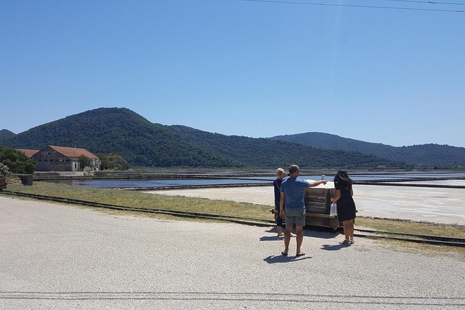 Luxury private transfer Split - Dubrovnik with lunch in Ston - Ston Stop: Walls, Salt Town Vibes, and Big Views for Less Stress