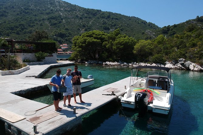 Mljet and North Elaphiti Private Speed Boat Tour Quicksilver 675 - Leaving Dubrovnik: a quick cruise start and then the Elaphiti run