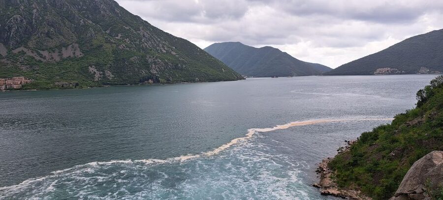 Montenegro: Perast & Kotor - Day Trip from Dubrovnik - Timing and Border-Day Reality: What Can Go Wrong, and How to Plan