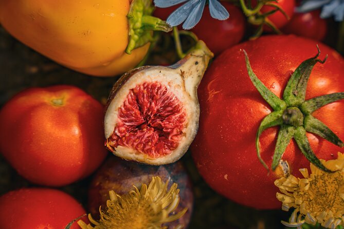 Olive farm & village - Key points to know before you go