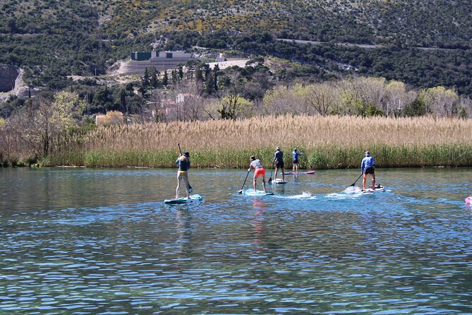 Ombla River Paddleboarding Tour in Dubrovnik with Snacks - Why the Ombla River feels like a reset from Dubrovnik