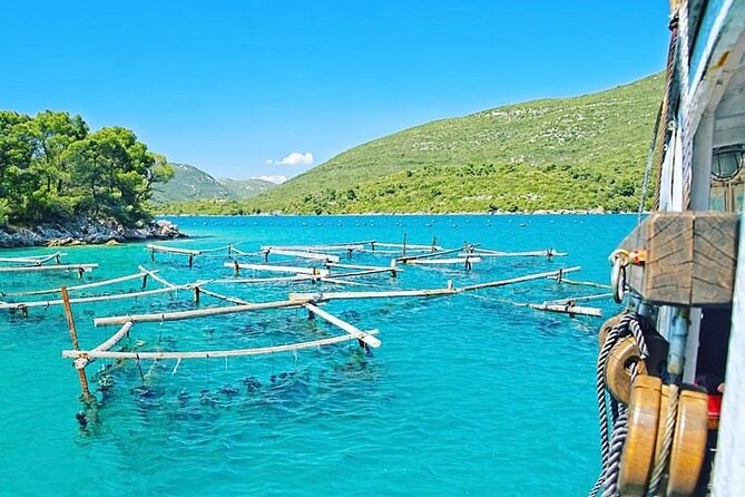 Oyster farm experience / Private day trip from Dubrovnik - Key Highlights You Should Know