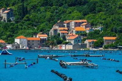 Oyster farm experience / Private day trip from Dubrovnik