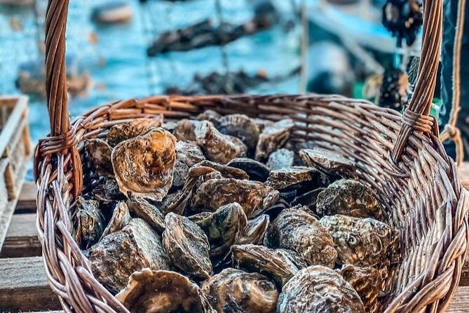 Oyster farm experience / Private day trip from Dubrovnik - Mali Ston Bay Oyster Tasting: The Main Event, With Real Regional Roots