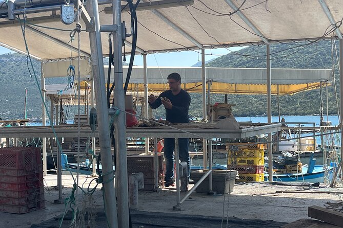Oyster Farm, Ston and Winery Tour - Ston oyster farm: five oysters and a wine pairing you can actually taste