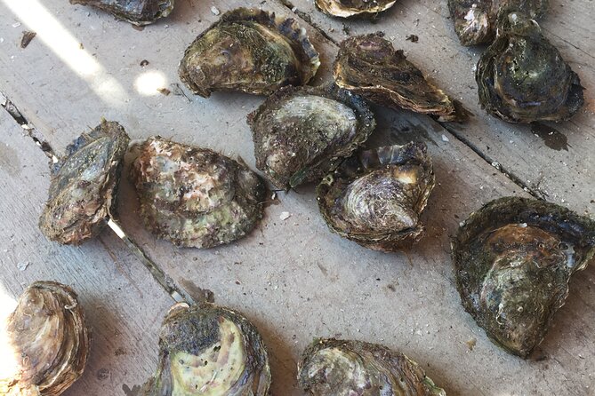 Oyster Farm, Ston and Winery Tour - Another producer stop in Ston, then time to explore the village